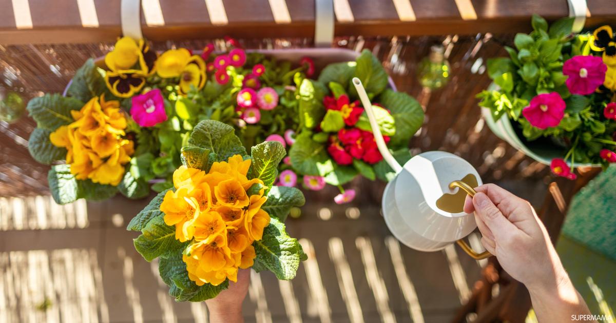 كيف أزين سطح المنزل سوبر ماما